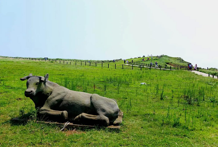牛岛海洋道立公园